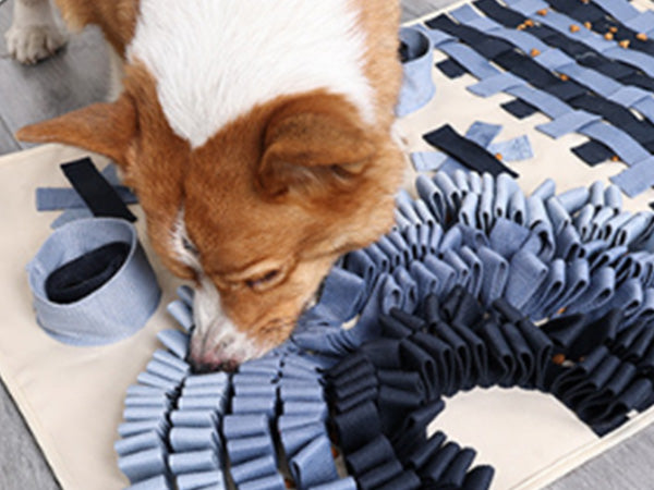 Let your dog sniff and search for the treats