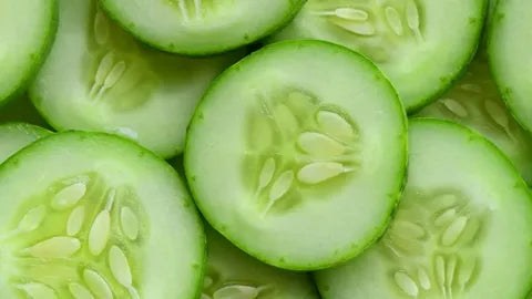 Cucumber Extract