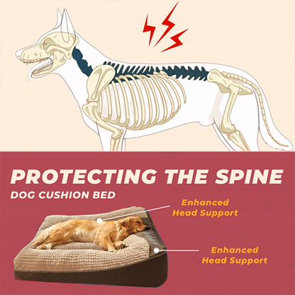 orthopaedic dog bed for large dogs