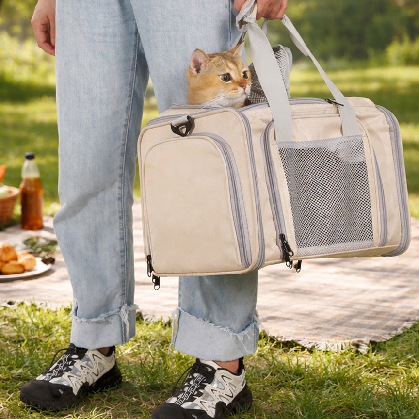 Outdoor to have a panic with cats in a pet bage
