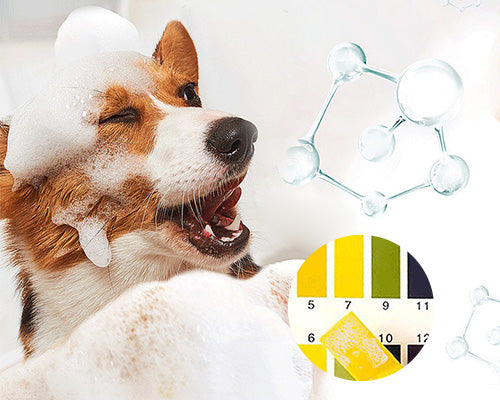 Dog with bath foam beside a pH scale graphic, highlighting a gentle pH-balanced pet shampoo formula for dog bathing.