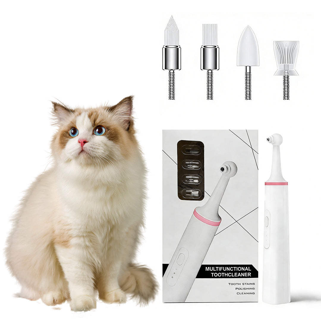 Pink electric cat toothbrush with multiple interchangeable brush heads