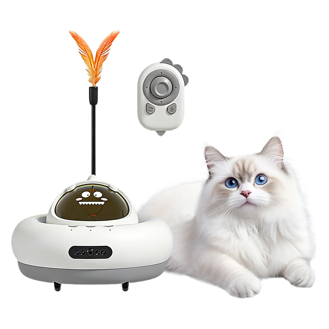remote control interactive cat toy 