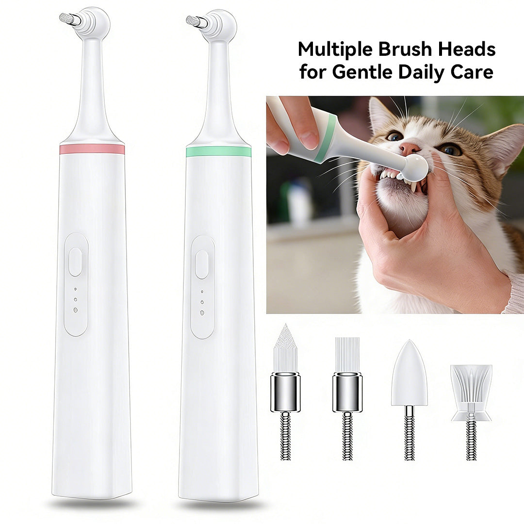 Electric cat toothbrush used during a daily oral care routine