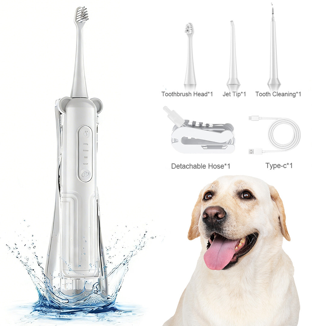  Product accessories including toothbrush head, jet tip, tooth cleaning tool, detachable hose, and Type-C charging cable